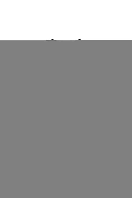 Erkek Kışlık Siyah Termal Içlik Tayt