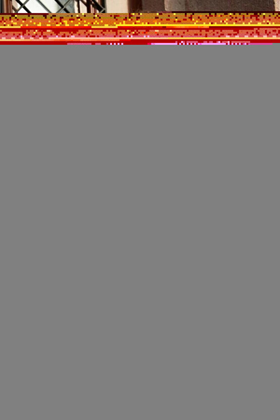 Kadın Uzun Kollu Dokuma Kumaş Klasik Gömlek