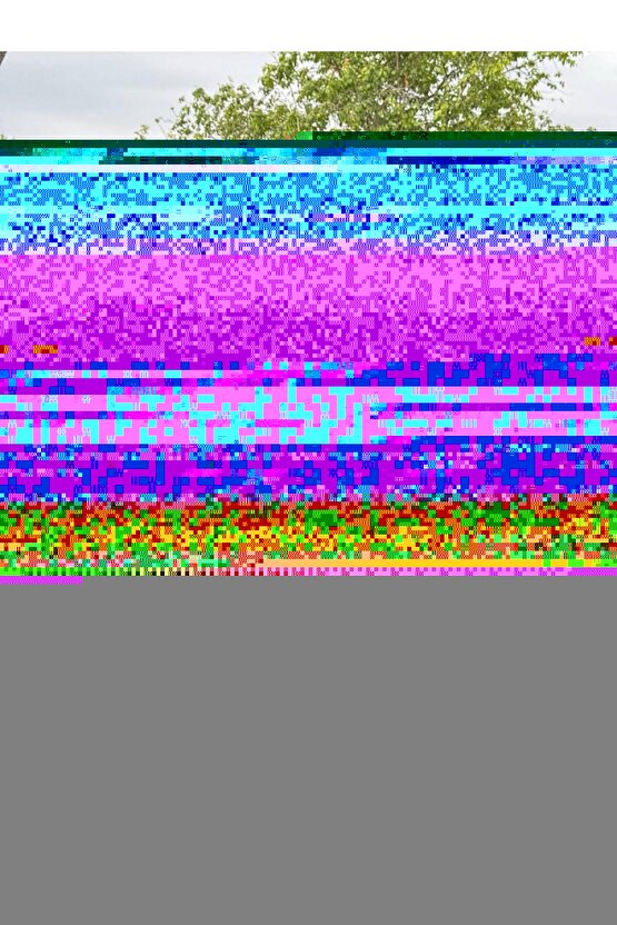 Balto (1995) ( FOLYO ) - AFİŞ - POSTER-1589