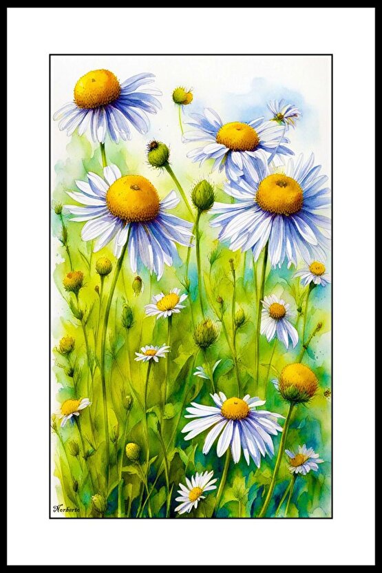 Bahçemdeki Papatyalar Digital Art ( ÇERÇEVESİZ - ÇERÇEVE YOKTUR ) ( ULTRA HD ) FOLYO AFİŞ - POSTER