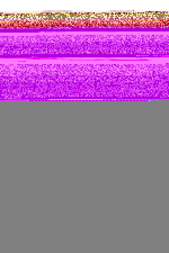 Köprülü Dere Digital Art ( ÇERÇEVESİZ - ÇERÇEVE YOKTUR ) ( ULTRA HD ) FOLYO AFİŞ - POSTER