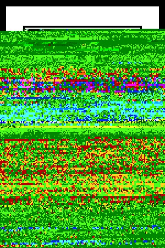 MDB Kadın Yüksek Bel Yan şerit Detaylı Yırtmaçlı Viskon Iki Iplik Pantolon