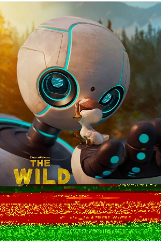 Erkek Düz Bomber Ceket - Siyah