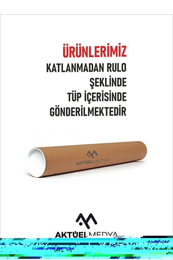 Kadın Üç İplik Dık Yaka Yarım Fermuarlı SweatShirt - Beyaz