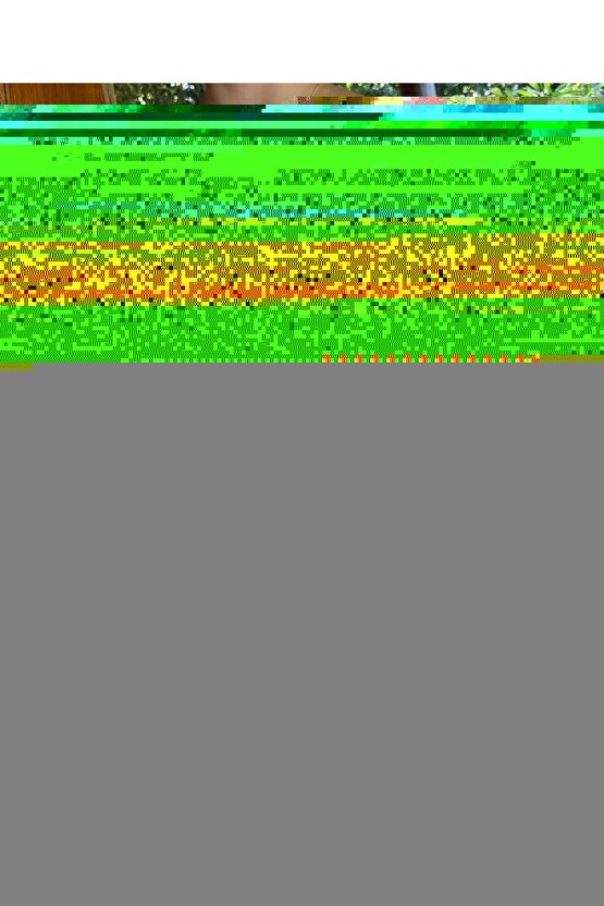 Transformers Rise of the Beasts (2023) 0009 AFİŞ - POSTER ( FOLYO ) - AFİŞ - POSTER-8383