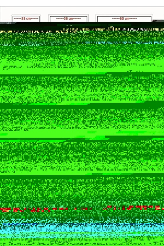 Erkek Kısa Kollu Yakalı Tişört