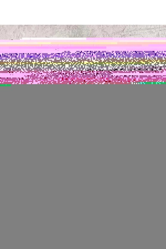 The Notebook (2004) 2 AFİŞ - POSTER ( FOLYO ) - AFİŞ - POSTER-7680