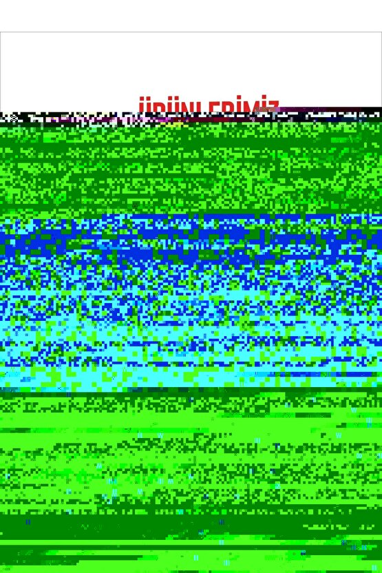 Nakış İşlemeli Üç İplik Sweat Takım- Gri