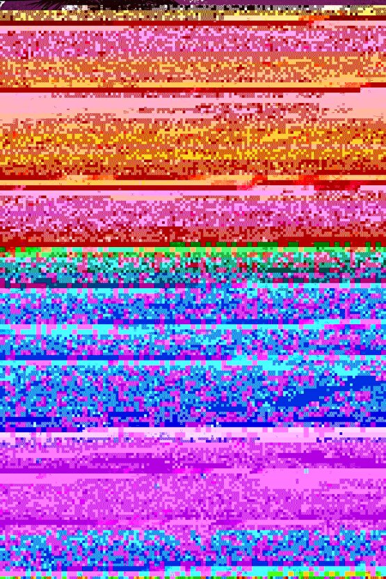 201 Penye Compack Ayı Baskılı Oversize Bisiklet Yaka Kısa Kol T-shirt - Siyah