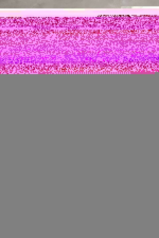 My Neighbor Totoro (1988) 1 ( FOLYO ) - AFİŞ - POSTER-4784