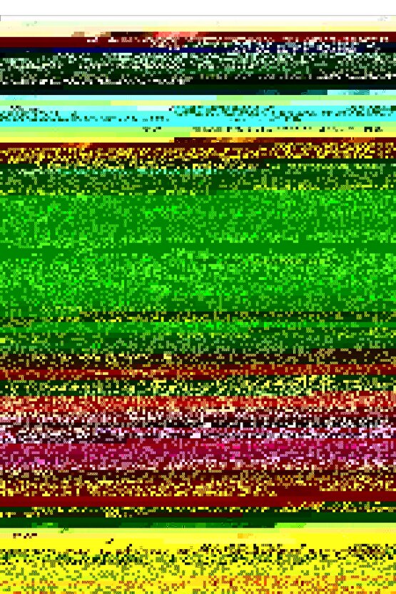EVA Kalın Tokalı Taşlı Şeritli Ortopedik Taban Kadın Sandalet CBT - Beyaz