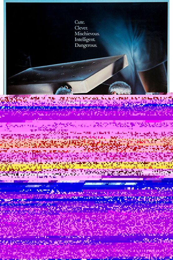 AGATHA Bağcıklı Fermuarlı Ortopedik Taban Kadın Sneaker Spor Ayakkabı CGT - Krem