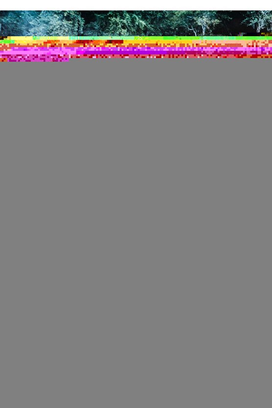 Yırtmaç Detay Sırt Dekolte Elbise