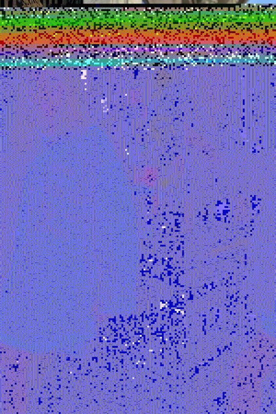 Bej Kot Garni Parçalı Gömlek