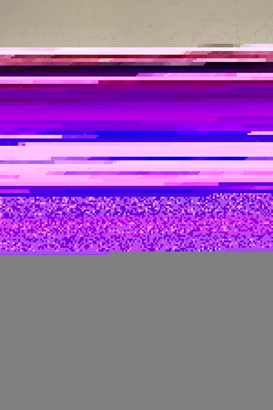 Matisse - Sanat - Soyut - Doğa - Ev - Yaşam ( 2 Li Çerçevesiz ) Poster - Afiş - Tablo NNHT544