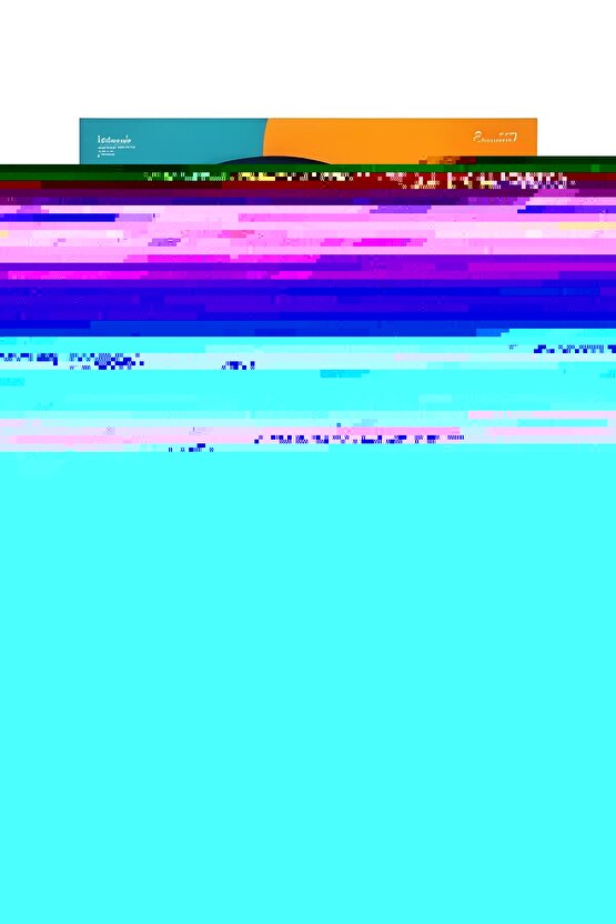 Matisse - Sanat - Soyut - Doğa - Ev - Yaşam ( 2 Li Çerçevesiz ) Poster - Afiş - Tablo NNHT313