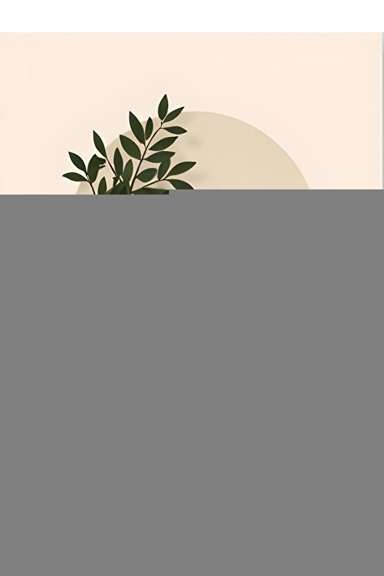 iyah Kolları Organze Detaylı Bluz