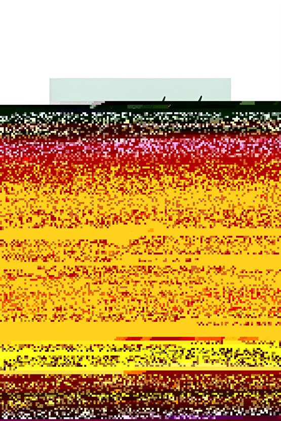 Beyaz Flamlı Keten Nakışlı Pullu Gömlek