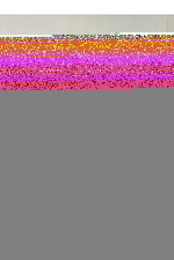 Matisse - Sanat - Soyut - Doğa - Ev - Yaşam ( 2 Li Çerçevesiz ) Poster - Afiş - Tablo NNHT607