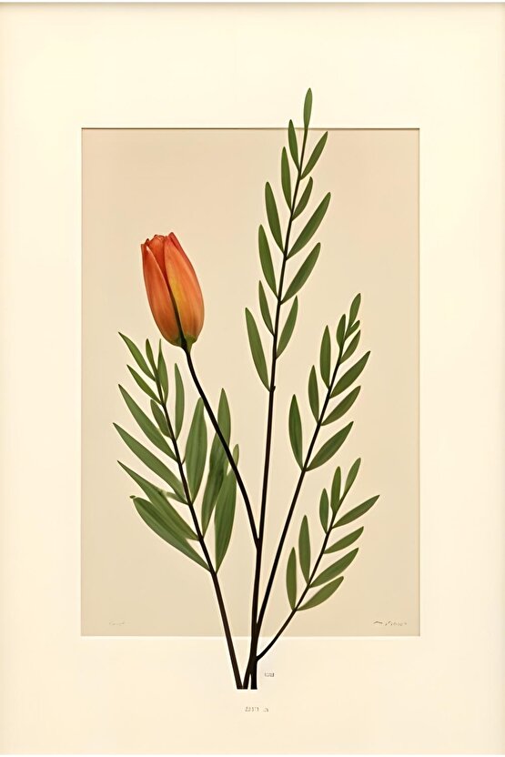 Kışlık Bisiklet Yaka Ön Ve Arka Baskılı weathirt iyah