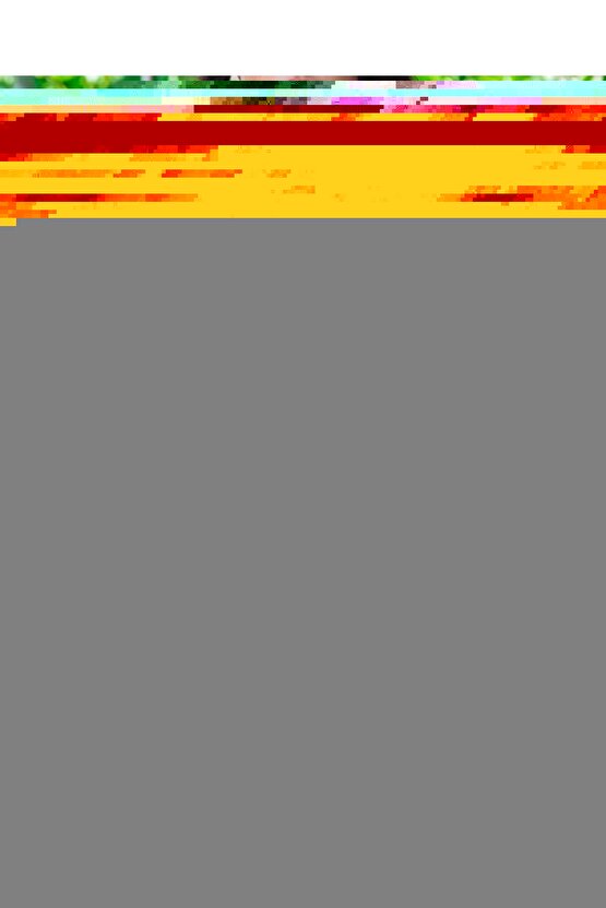 Matisse - Sanat - Soyut - Doğa - Ev - Yaşam ( 2 Li Çerçevesiz ) Poster - Afiş - Tablo NNHT686