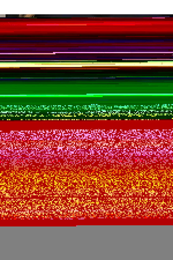 Matisse - Sanat - Soyut - Doğa - Ev - Yaşam ( 2 Li Çerçevesiz ) Poster - Afiş - Tablo NNHT677