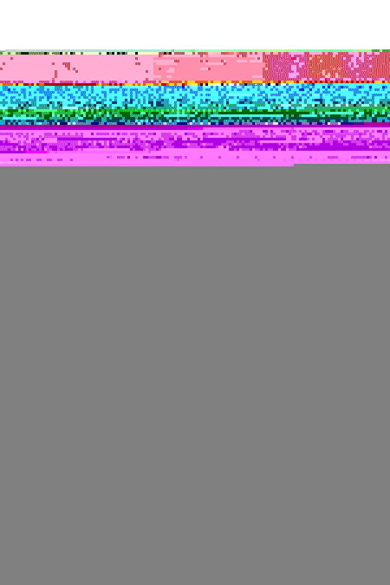 Kadın Yüksek Bel Belden Toka Detaylı Dalgıç Tayt