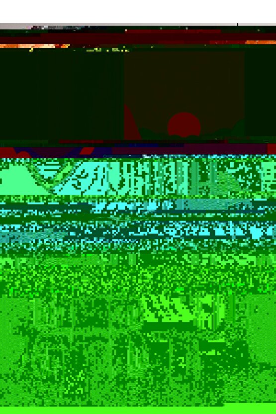 Matisse - Sanat - Soyut - Doğa - Yaşam ( Tekli Çerçevesiz ) Poster - Afiş - Tablo MKKM1877