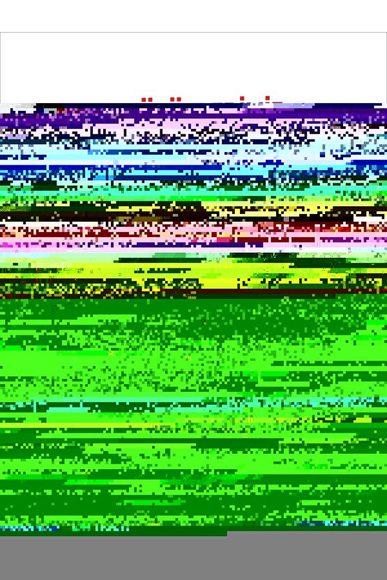 Pembe Çiçekli İç Çamaşır Takımı