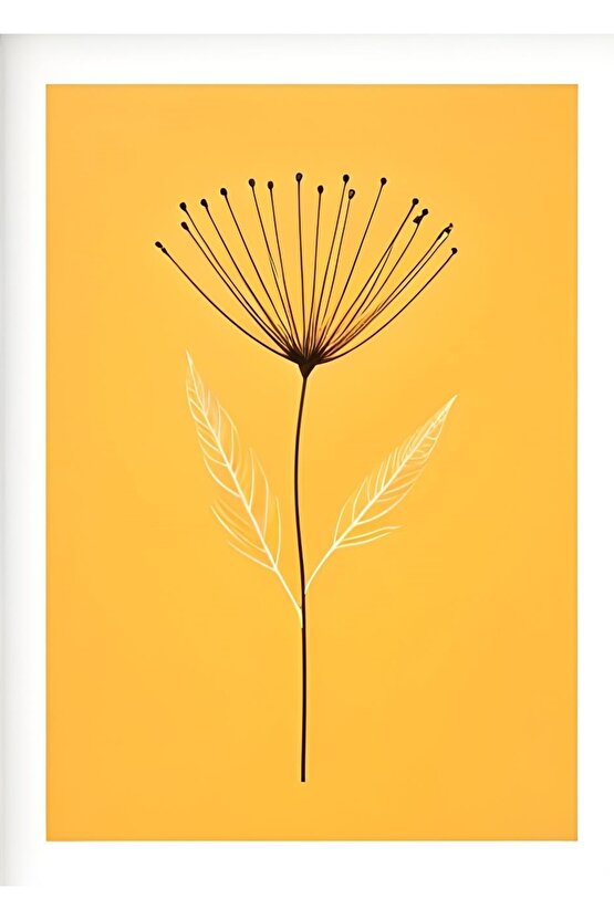 Kadın Uzun Kollu Balıkçı Yaka Kaşkorse Bluz