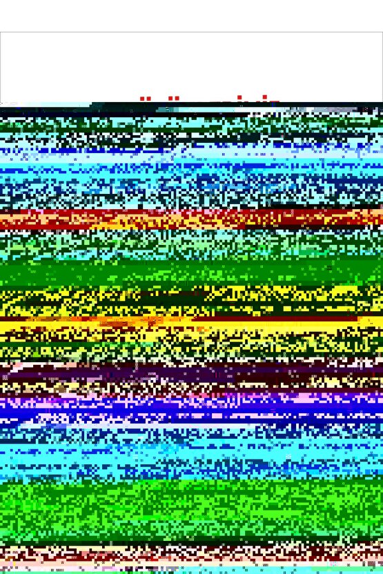 Kadın Yüksek Bel Düğmeli Geniş Paçalı Ithal Krep Pantolon
