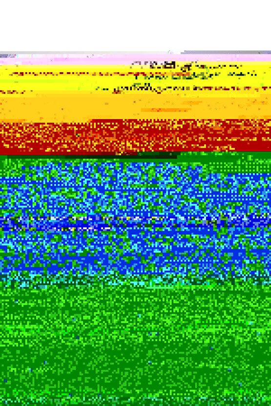 Kadın Bomber Mont Ceket – Su İtici Kumaş, Kapitone Astarlı, Fermuarlı, Kışlık - Bej