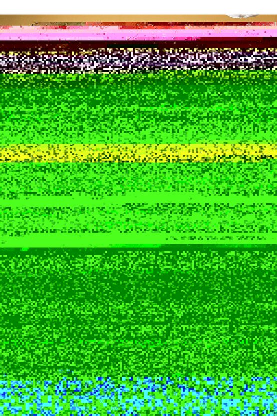 Kadın Kolsuz Etek Ucu Lazer Kesim çiçek Desenli Midi Boy Ithal Krep Elbise