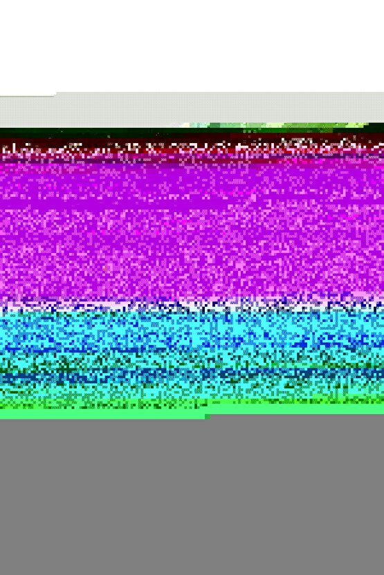 Kadın Kısa Kollu Hakim V Yakalı Pileli Janjan Krep Elbise