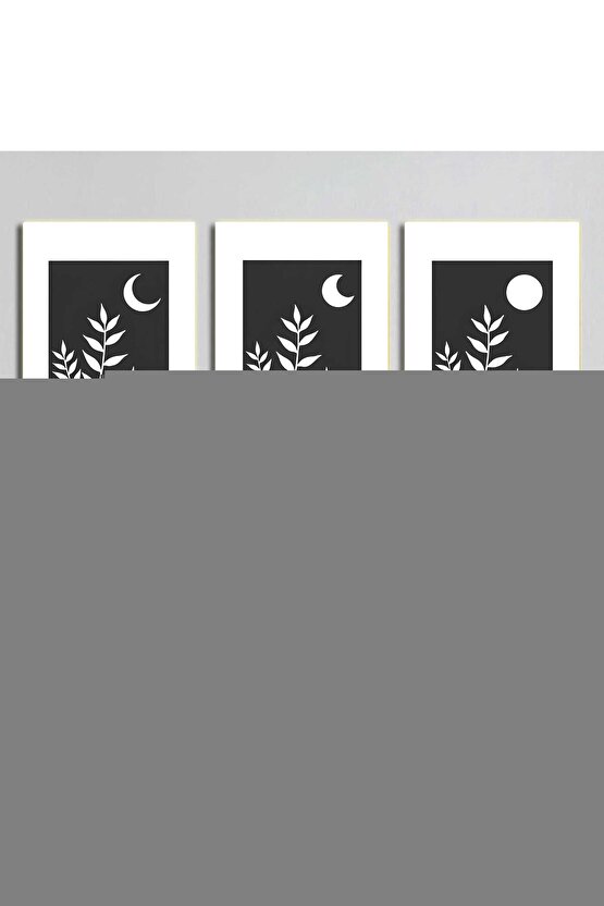 Matisse - Boho - Art Deco - Soyut - Doğa ( 3 lü Çerçevesiz ) Poster - Afiş - Tablo KR2C01077