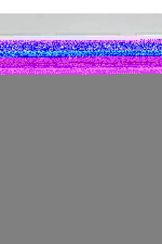 Matisse - Boho - Art Deco - Soyut - Doğa ( 3 lü Çerçevesiz ) Poster - Afiş - Tablo KR2C00738