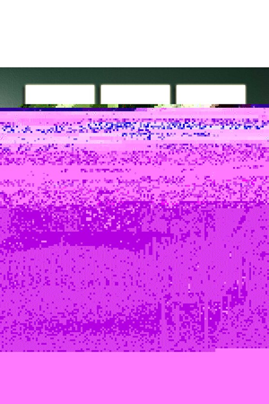 Matisse - Boho - Art Deco - Soyut - Doğa ( 3 lü Çerçevesiz ) Poster - Afiş - Tablo KR2C00645