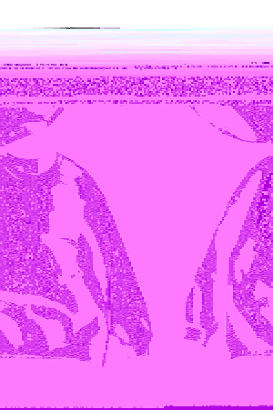 Bisiklet Yaka Baskılı SweatShirt - Beyaz