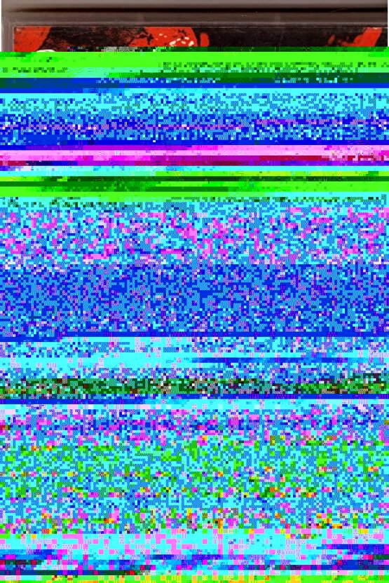 Erkek Nakış İşlemeli Şortlu Takım - Beyaz