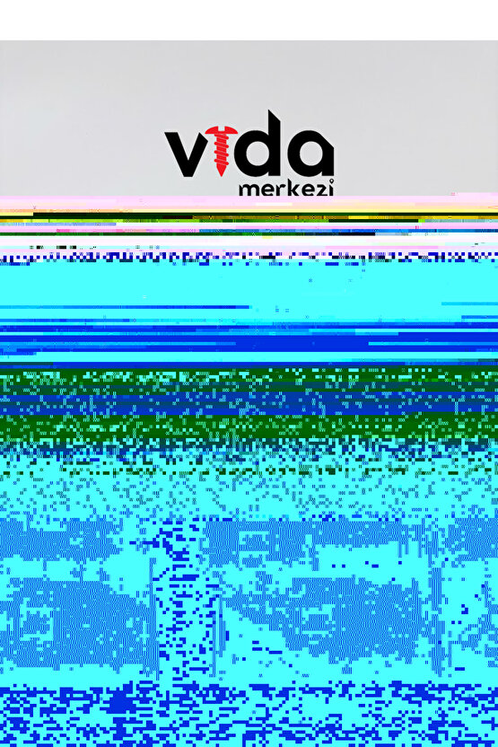 Ağaç Ve Sunta Vidası Seti – 450 Vida  9 Boy (16-70 MM) 4 ÇAP