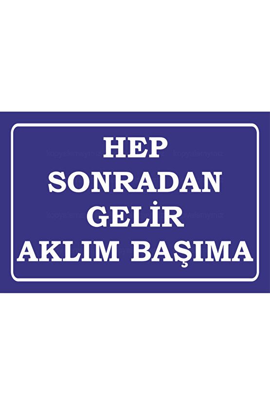 hep sonradan gelir aklım başıma ahmet kaya komik atarlı sözler duvar yazıları retro ahşap poster