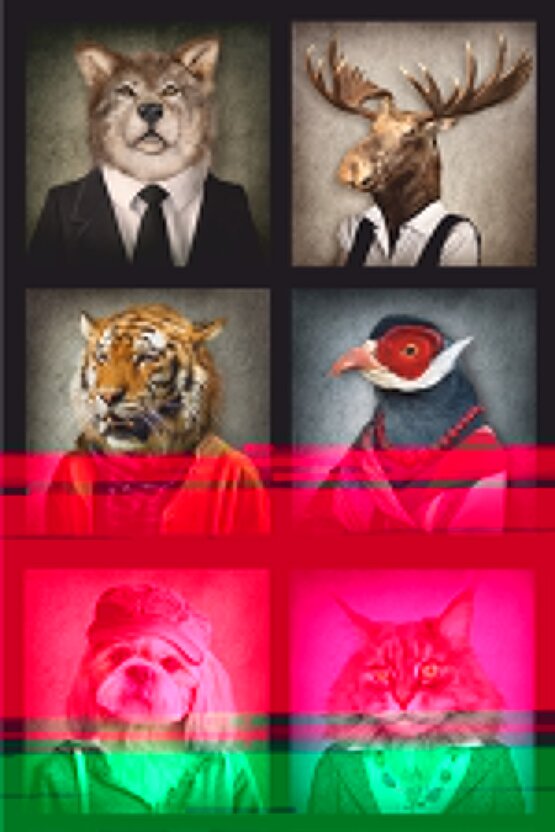 EQURİ Kadın Sıfır Kollu Bisiklet Yaka Büzgülü Asimetrik Kesim Detaylı Janjan Krep Elbise