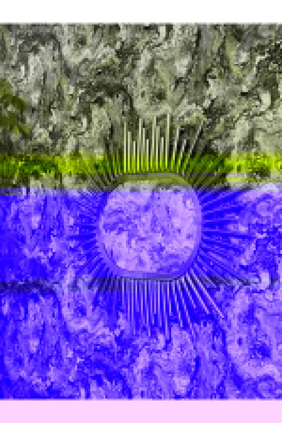 Baskılı Oversize Bisiklet Yaka T-shirt - Beyaz