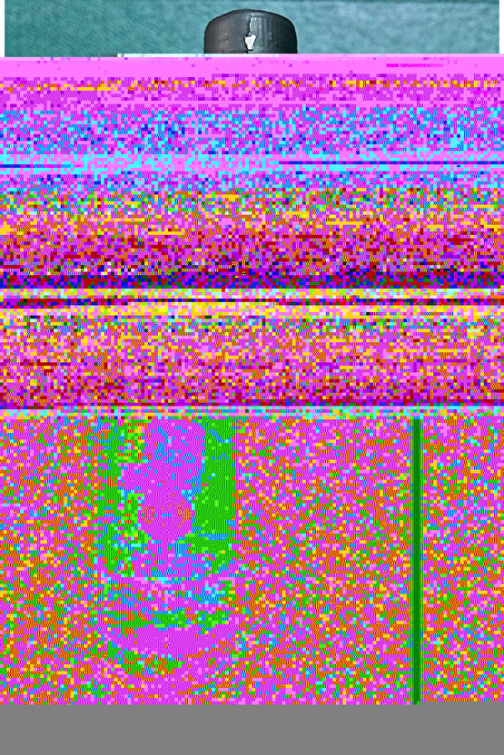 green aR&ya Organik Enginar Sirkesi 250ml