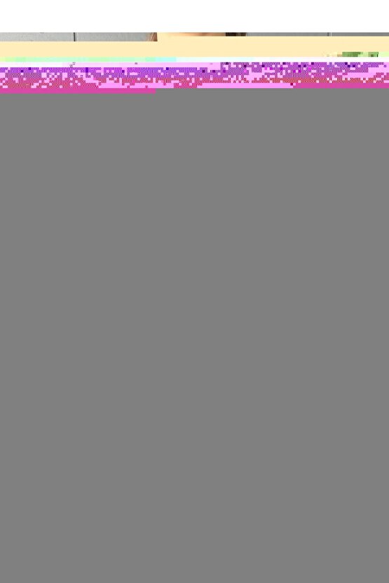 Mango Aromalı İçecek Tozu,1 kg, (Milkshake, Smothie, Frappe için)