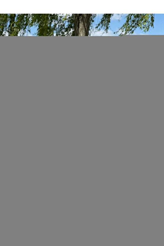 Modern İskandinav Desenli Yıkanabilir Kaymaz Dokuma Taban Şönil Halı Hardal