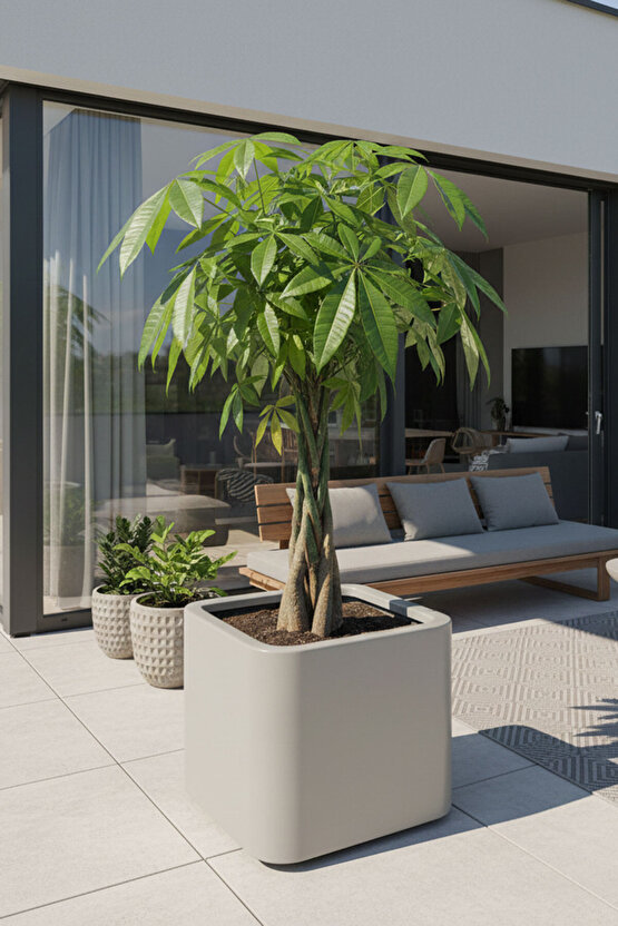 Aura Softbox 30x35cm Fiber Soft-Küp Saksı - Mat - Büyük Saksı - Fiberglass saksı