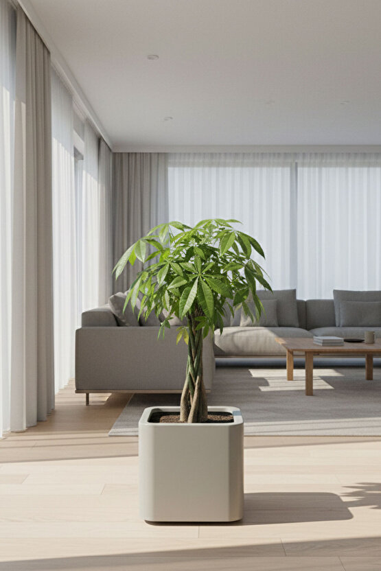 Aura Softbox 30x35cm Fiber Soft-Küp Saksı - Mat - Büyük Saksı - Fiberglass saksı