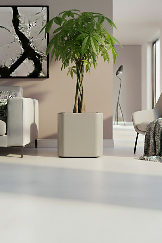 Aura Softbox 30x35cm Fiber Soft-Küp Saksı - Mat - Büyük Saksı - Fiberglass saksı