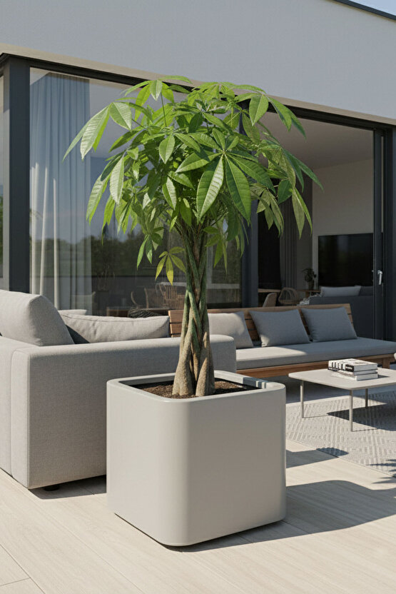 Aura Softbox 30x35cm Fiber Soft-Küp Saksı - Mat - Büyük Saksı - Fiberglass saksı